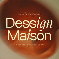 sltf-dessign-maison-hybrid-display-font-silverstag-type-foundry-1.jpg