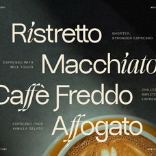sltf-dessign-maison-hybrid-display-font-silverstag-type-foundry-12.jpg