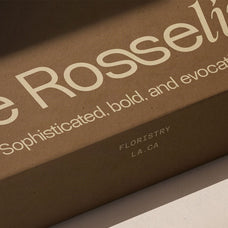 sltf-dessign-maison-hybrid-display-font-silverstag-type-foundry-5.jpg