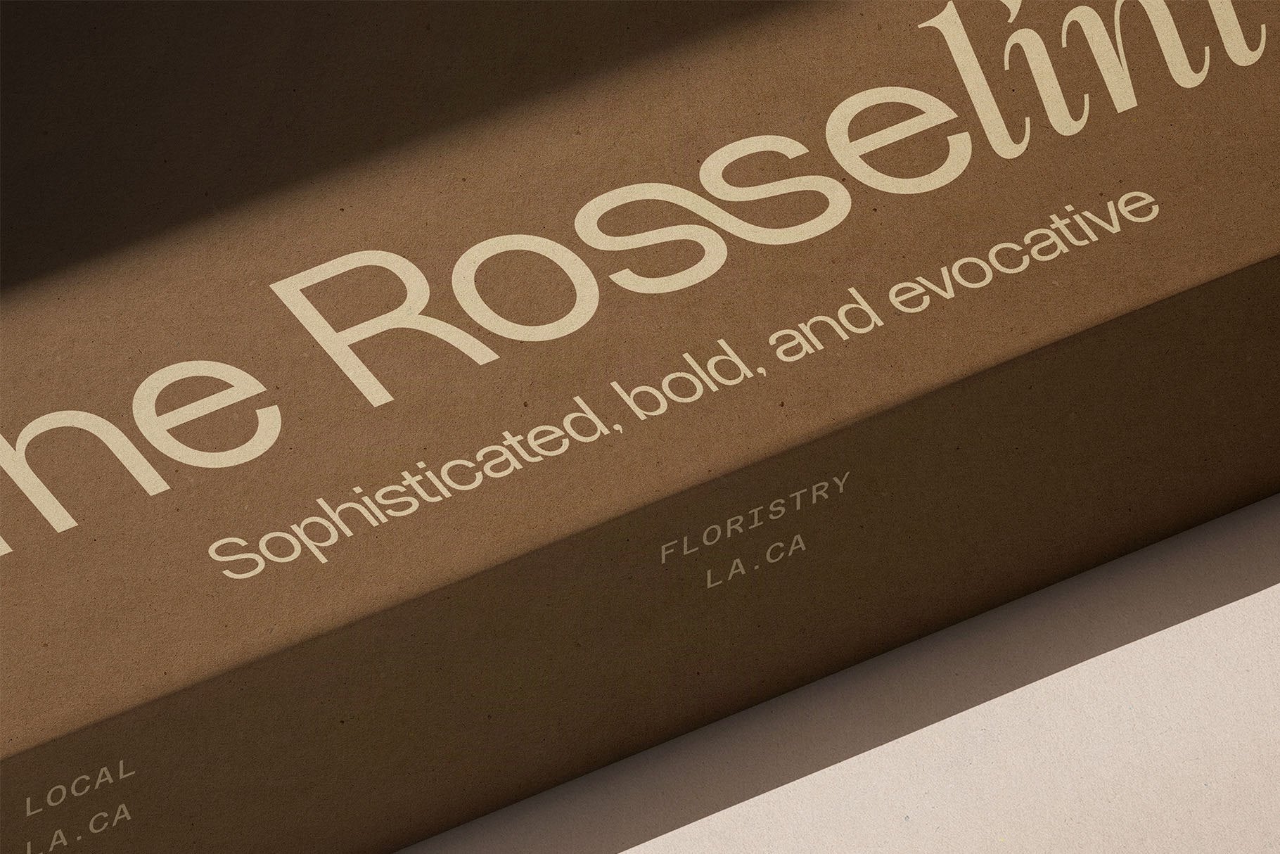 sltf-dessign-maison-hybrid-display-font-silverstag-type-foundry-5.jpg