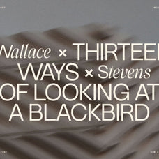 sltf-dessign-maison-hybrid-display-font-silverstag-type-foundry-8.jpg