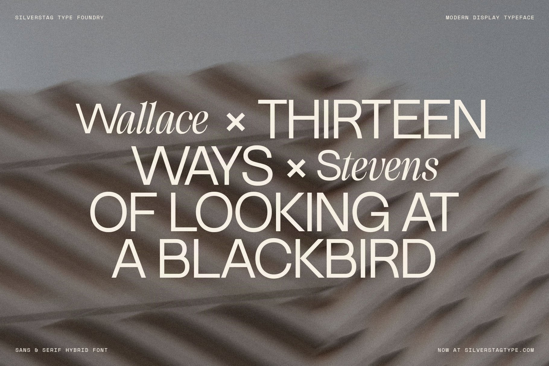 sltf-dessign-maison-hybrid-display-font-silverstag-type-foundry-8.jpg