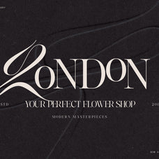sltf-hazel-shore-serif-script-font-duo-silverstag-type-foundry-10.jpg