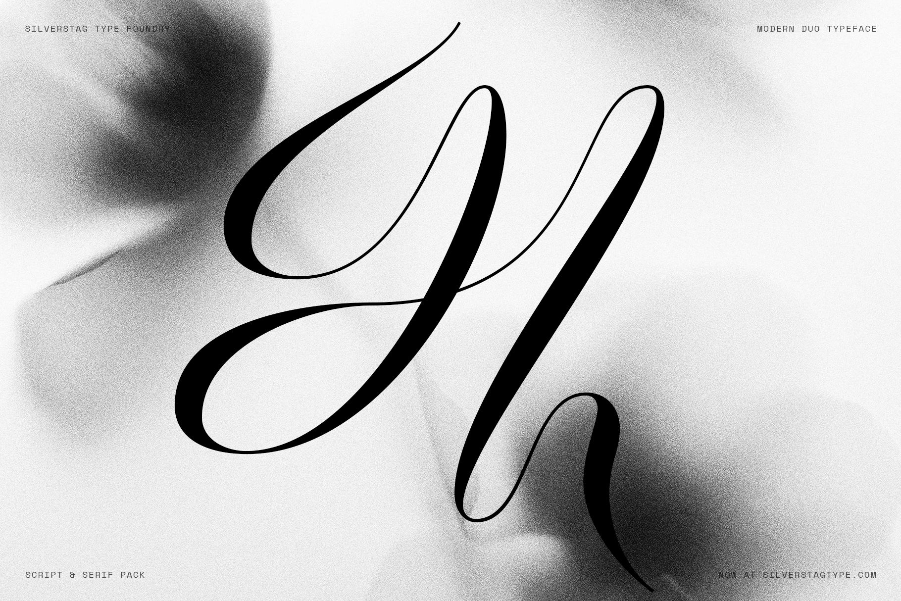 sltf-hazel-shore-serif-script-font-duo-silverstag-type-foundry-14.jpg