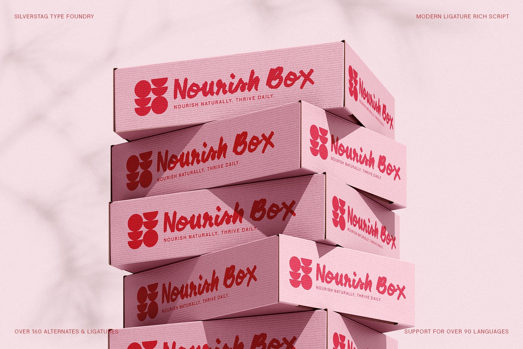 SLTF Midnight Chianti - Bold Handwritten Font