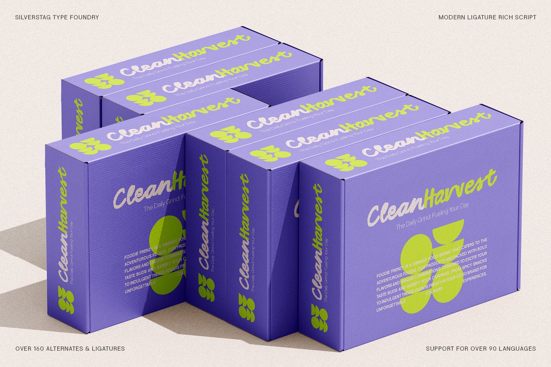 SLTF Midnight Chianti - Bold Handwritten Font