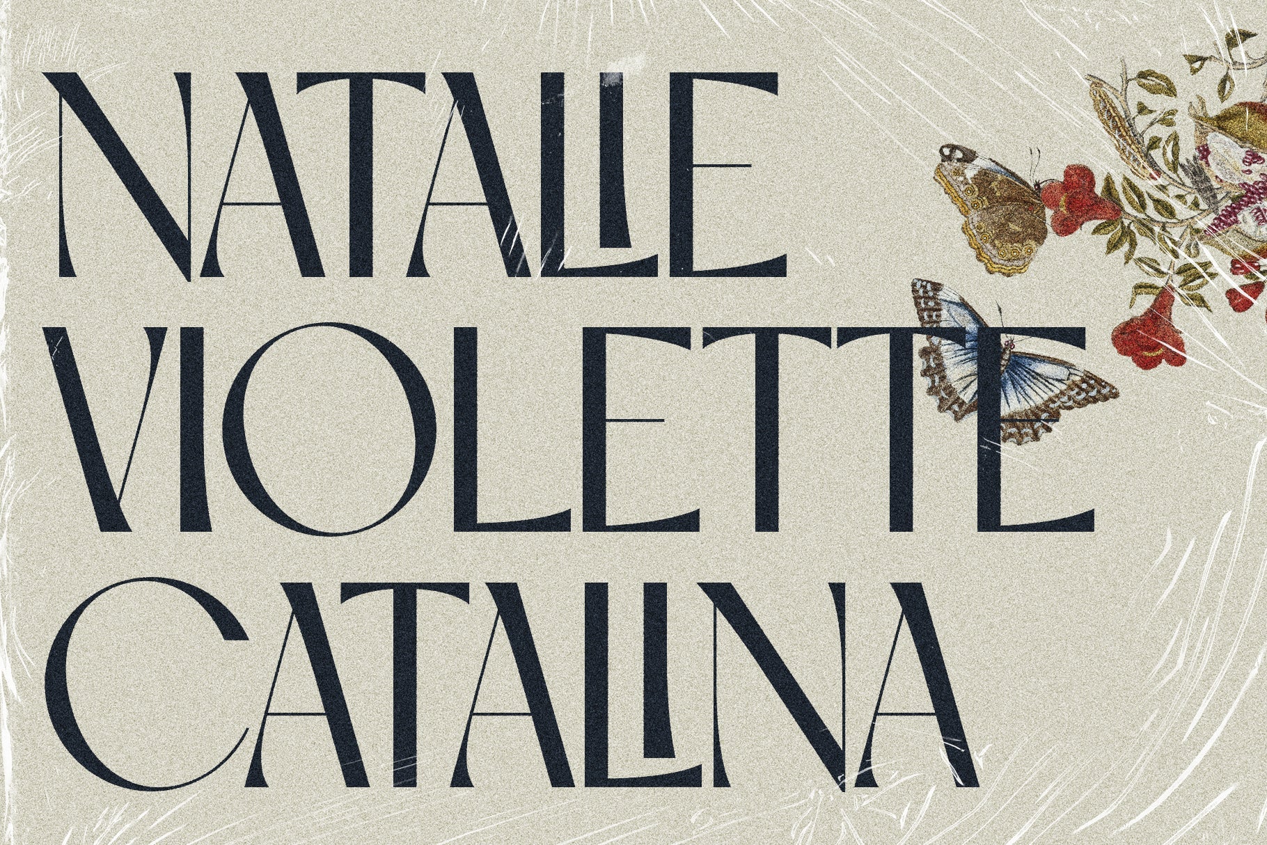 SLTF Night Windfall - Chic Ligature Sans Font