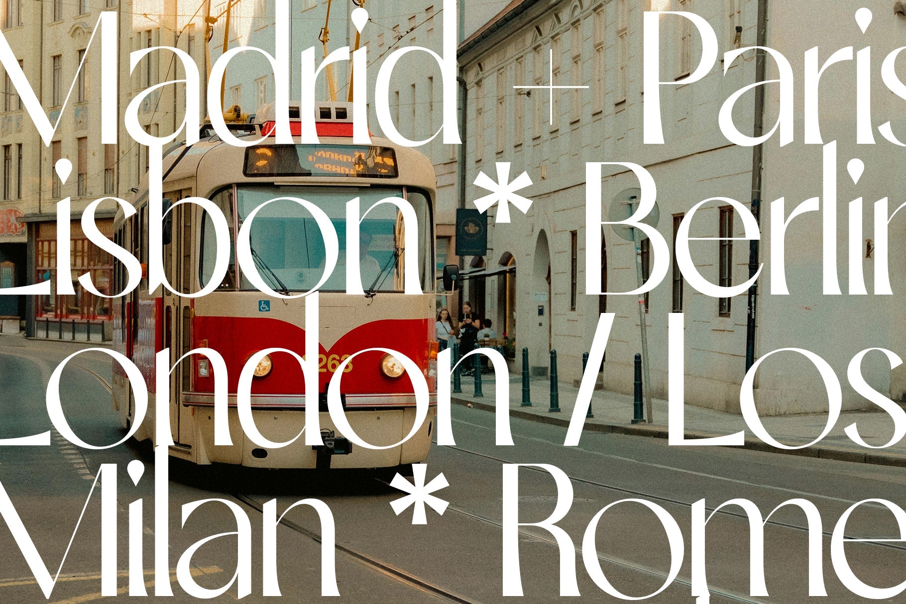 SLTF Night Windfall - Chic Ligature Sans Font