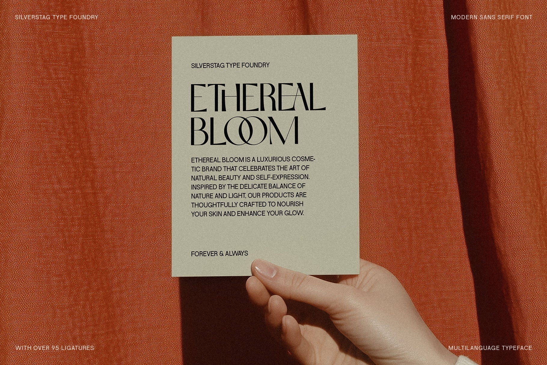 SLTF Night Windfall - Chic Ligature Sans Font