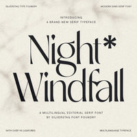 SLTF Night Windfall - Chic Ligature Sans Font