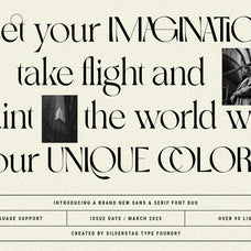 SLTF Night Windfall - Sans & Serif Font Duo