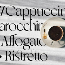 SLTF Night Windfall - Sans & Serif Font Duo