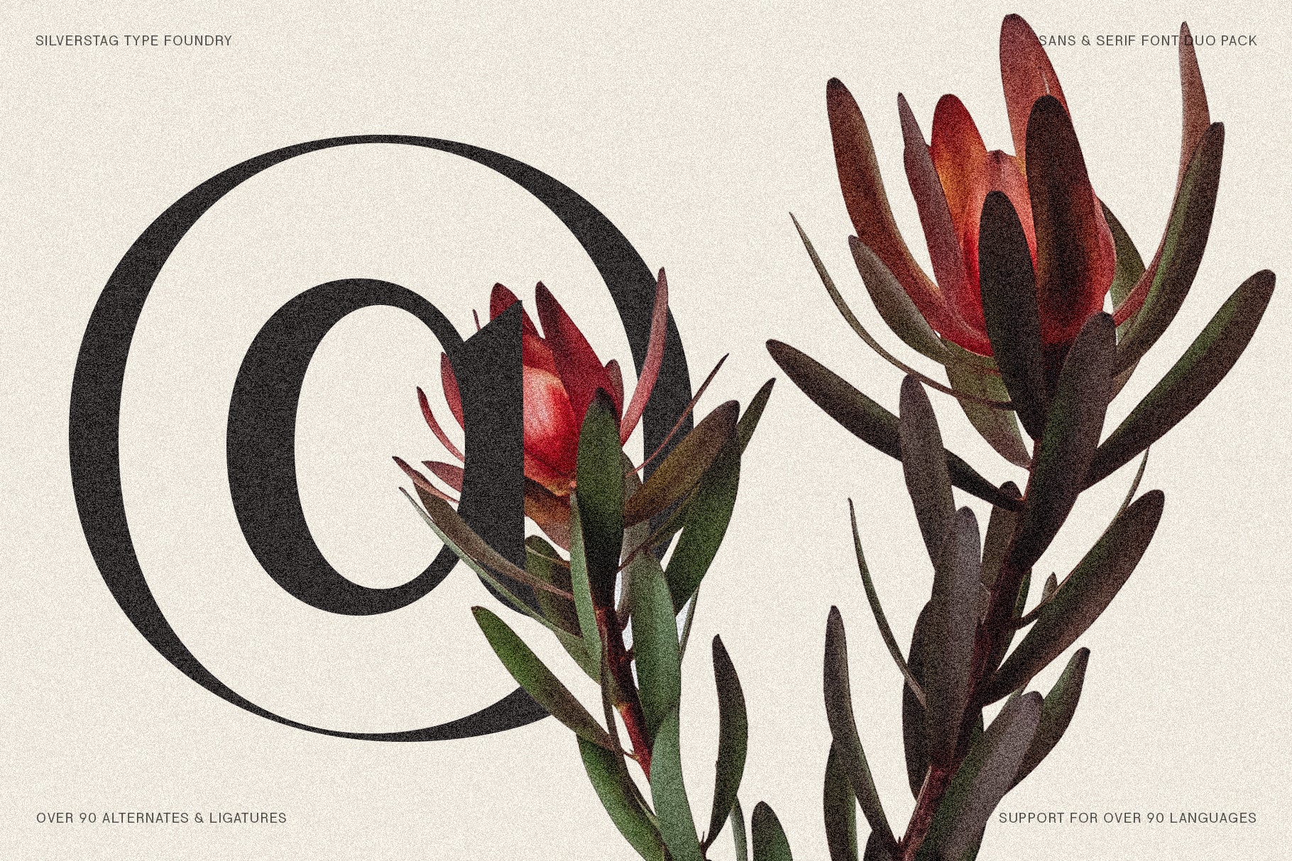 SLTF Night Windfall - Sans & Serif Font Duo