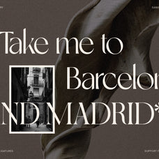 SLTF Night Windfall - Sans & Serif Font Duo