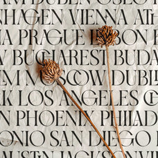 SLTF Night Windfall - Sans & Serif Font Duo