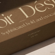 SLTF Night Windfall - Sans & Serif Font Duo
