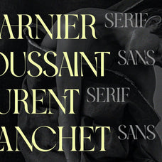 SLTF Night Windfall - Sans & Serif Font Duo