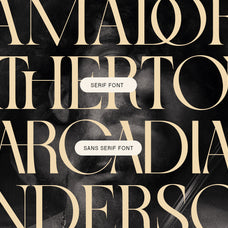 SLTF Night Windfall - Sans & Serif Font Duo