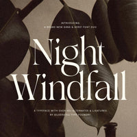 SLTF Night Windfall - Sans & Serif Font Duo