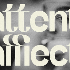 SLTF Refugio - Modern Grotesk Font