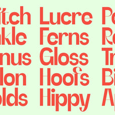 SLTF Refugio - Modern Grotesk Font
