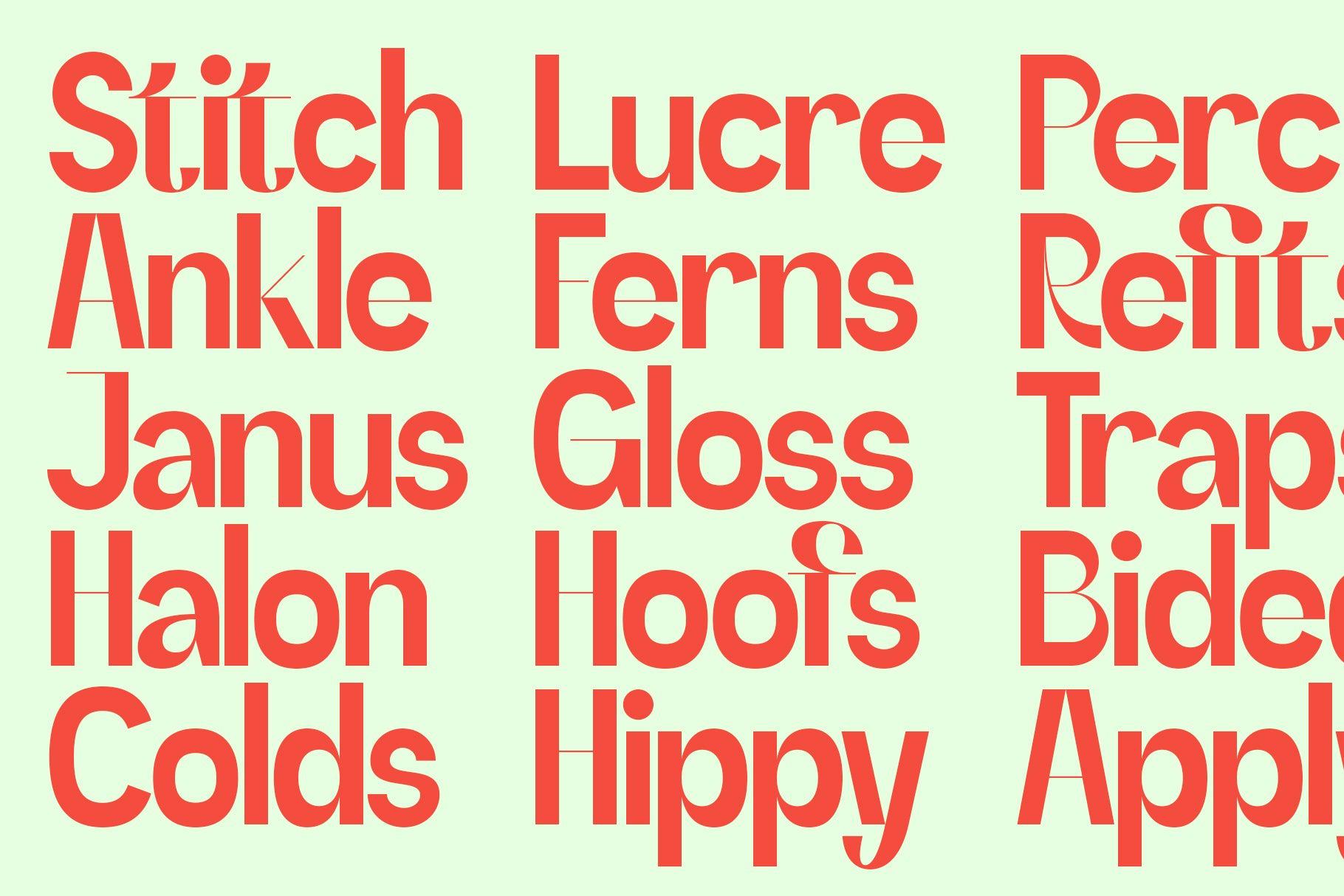 SLTF Refugio - Modern Grotesk Font