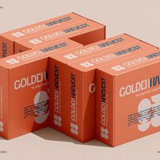 SLTF Refugio - Modern Grotesk Font