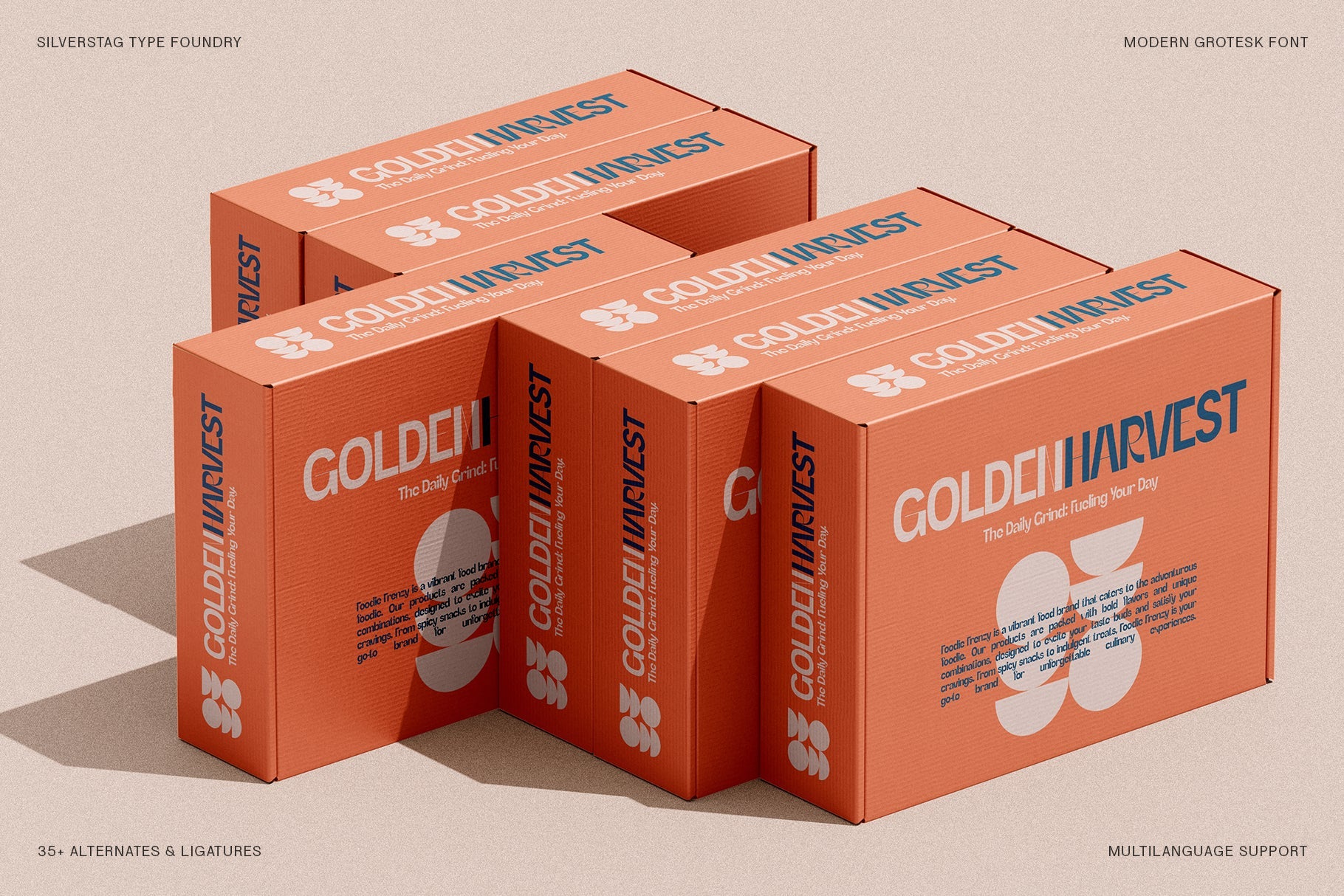 SLTF Refugio - Modern Grotesk Font