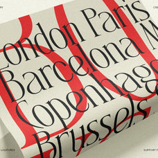 SLTF Rogue Rebellion - Ligature Serif Font