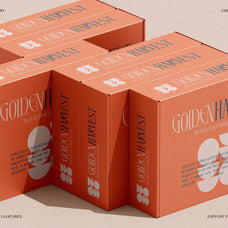 SLTF Rogue Rebellion - Ligature Serif Font