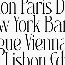SLTF Rogue Rebellion - Ligature Serif Font