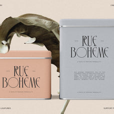SLTF Rogue Rebellion - Ligature Serif Font