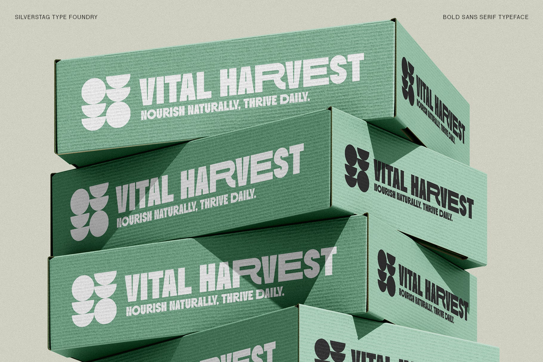 SLTF Skybury - Bold Sans Serif Typeface