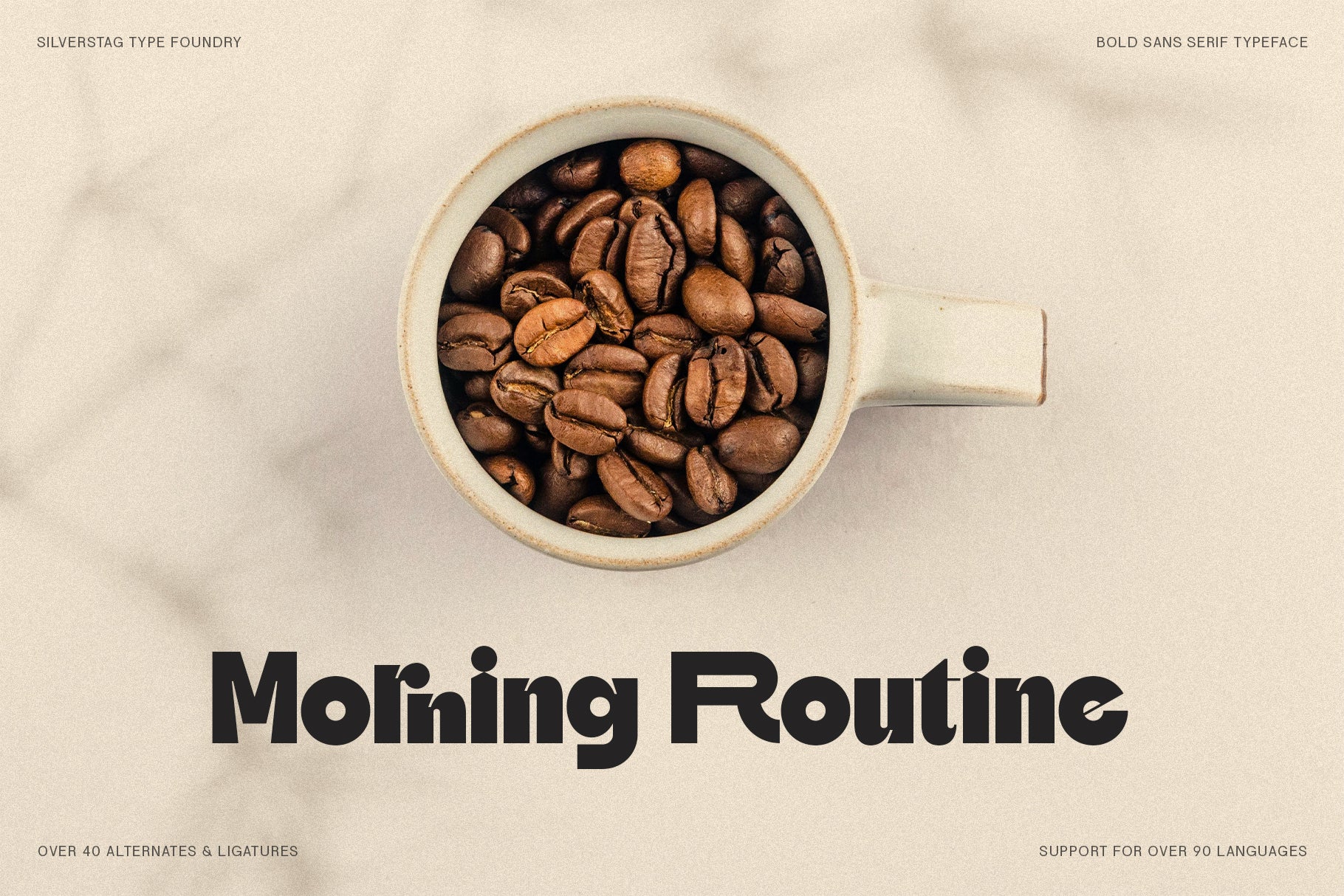 SLTF Skybury - Bold Sans Serif Typeface