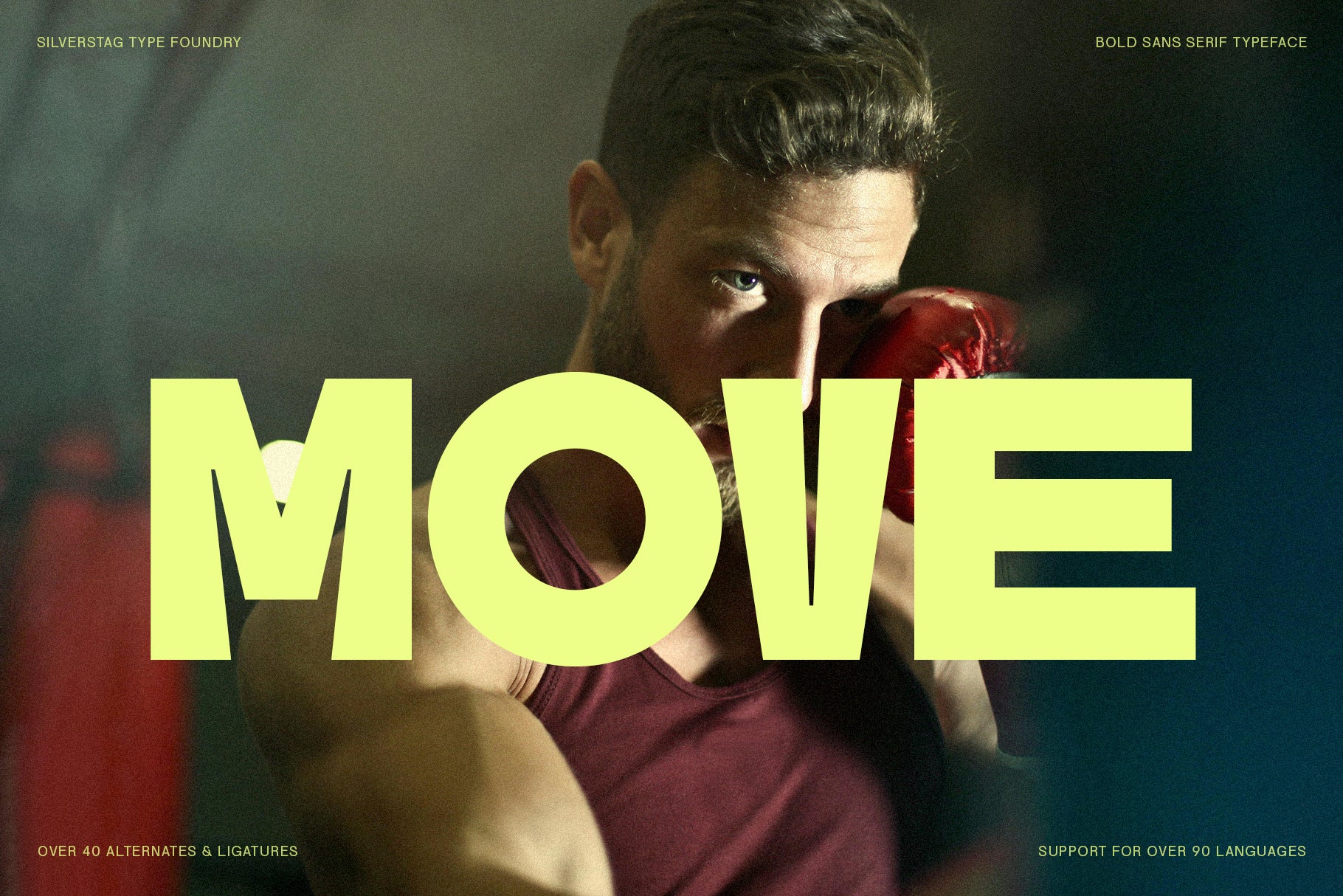 SLTF Skybury - Bold Sans Serif Typeface