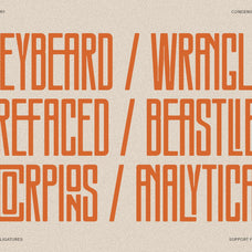 SLTF Snowpack - Ultra Condensed Typeface