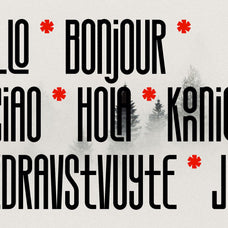 SLTF Snowpack - Ultra Condensed Typeface