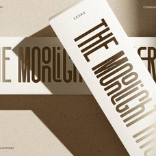 SLTF Snowpack - Ultra Condensed Typeface