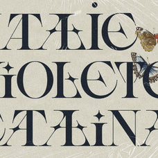 sltf-spanish-archer-ligature-rich-display-serif-font-silverstag-type-foundry-11.jpg