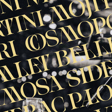 sltf-spanish-archer-ligature-rich-display-serif-font-silverstag-type-foundry-14.jpg