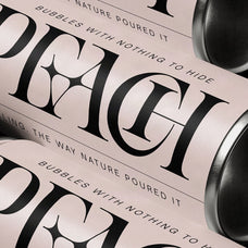 sltf-spanish-archer-ligature-rich-display-serif-font-silverstag-type-foundry-3.jpg