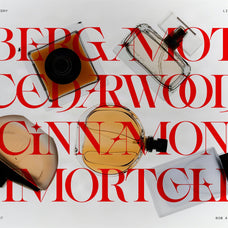 sltf-spanish-archer-ligature-rich-display-serif-font-silverstag-type-foundry-5.jpg