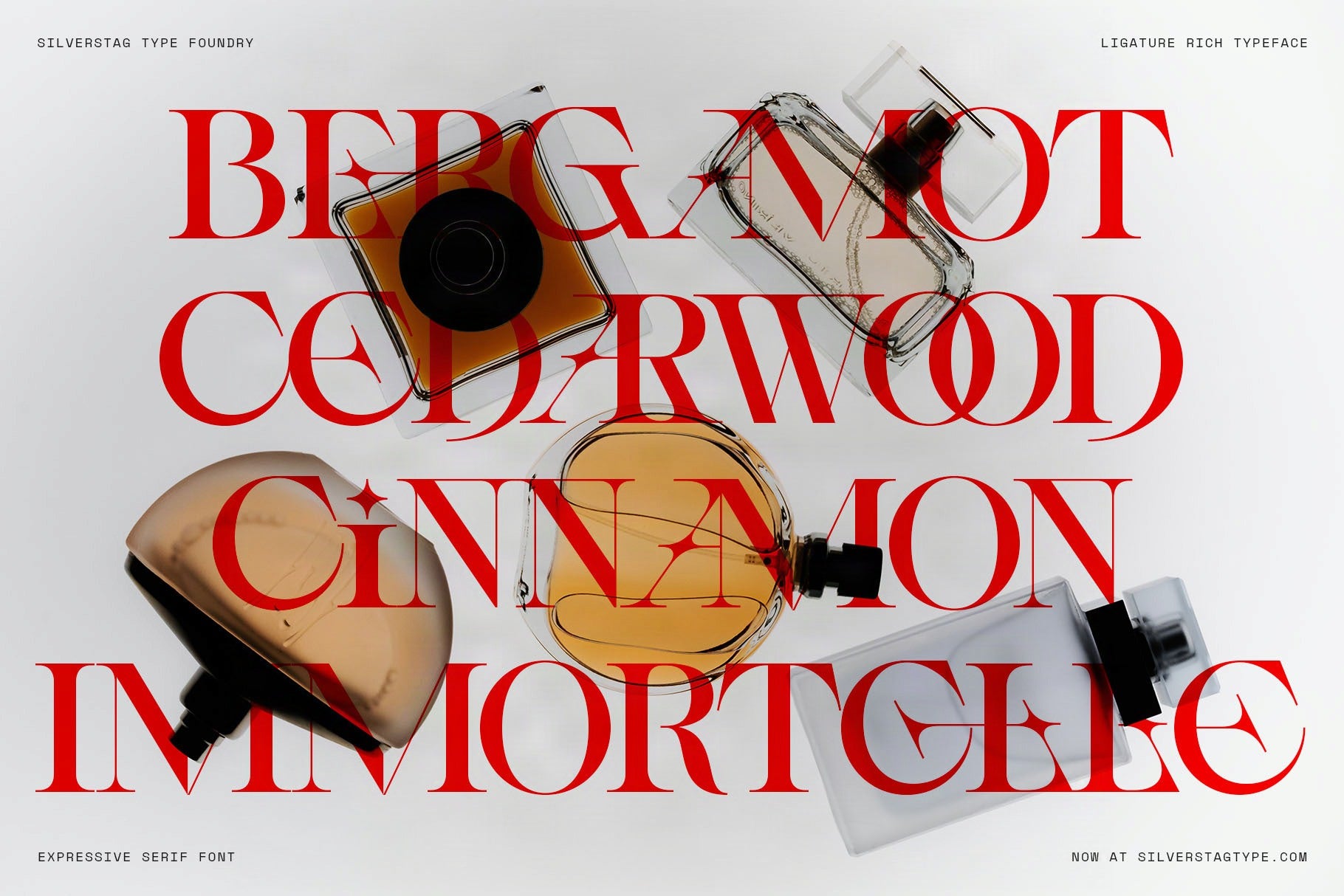 sltf-spanish-archer-ligature-rich-display-serif-font-silverstag-type-foundry-5.jpg