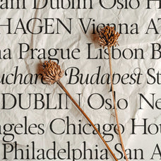 SLTF The Roman Edition - A Classical Serif Typeface