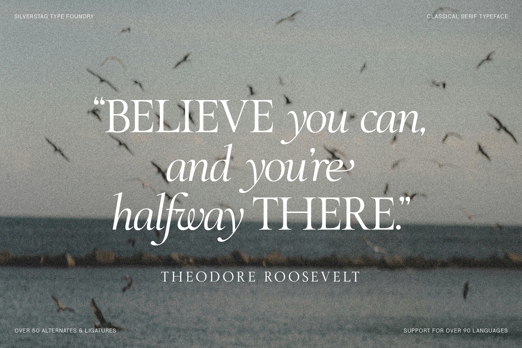 SLTF The Roman Edition - A Classical Serif Typeface