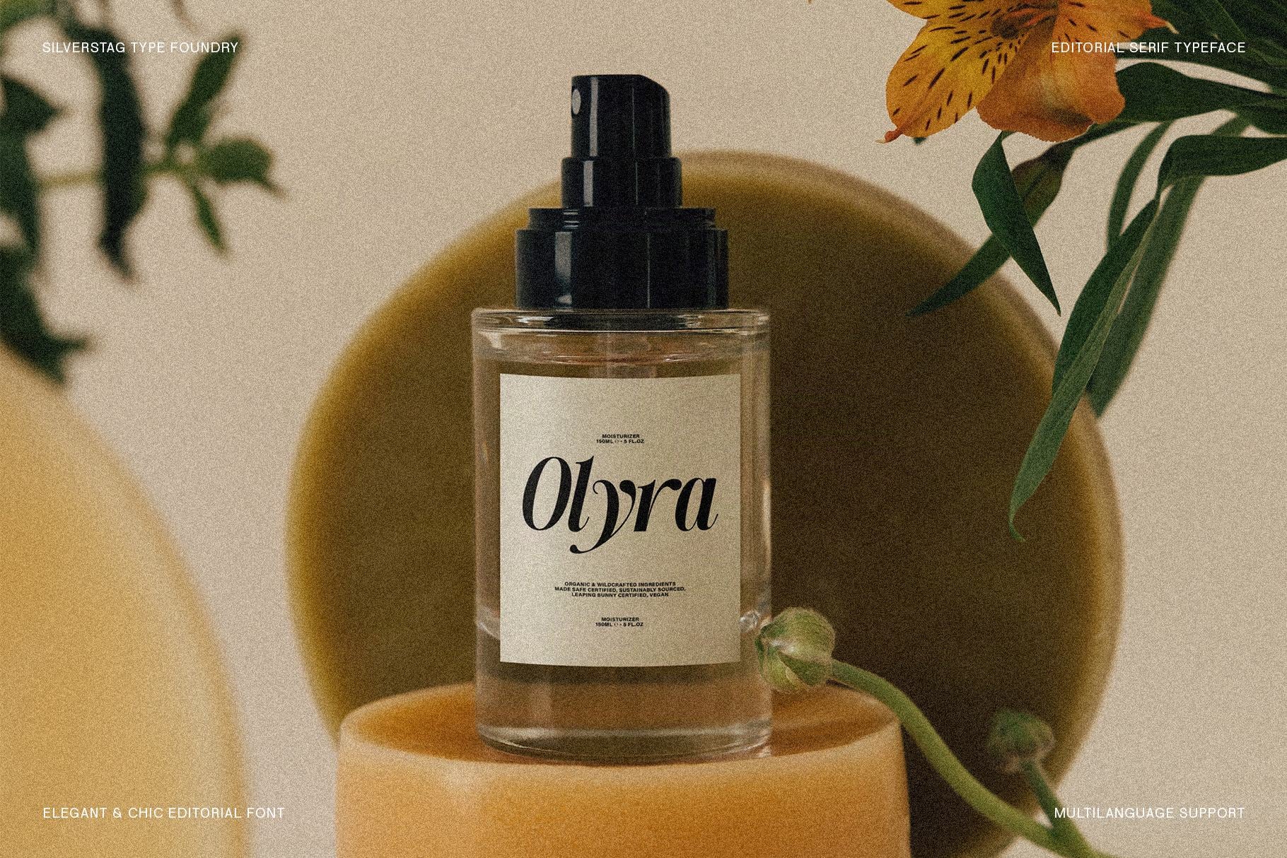 SLTF The Silver Editorial – A Nostalgic 18-Font Serif Typeface