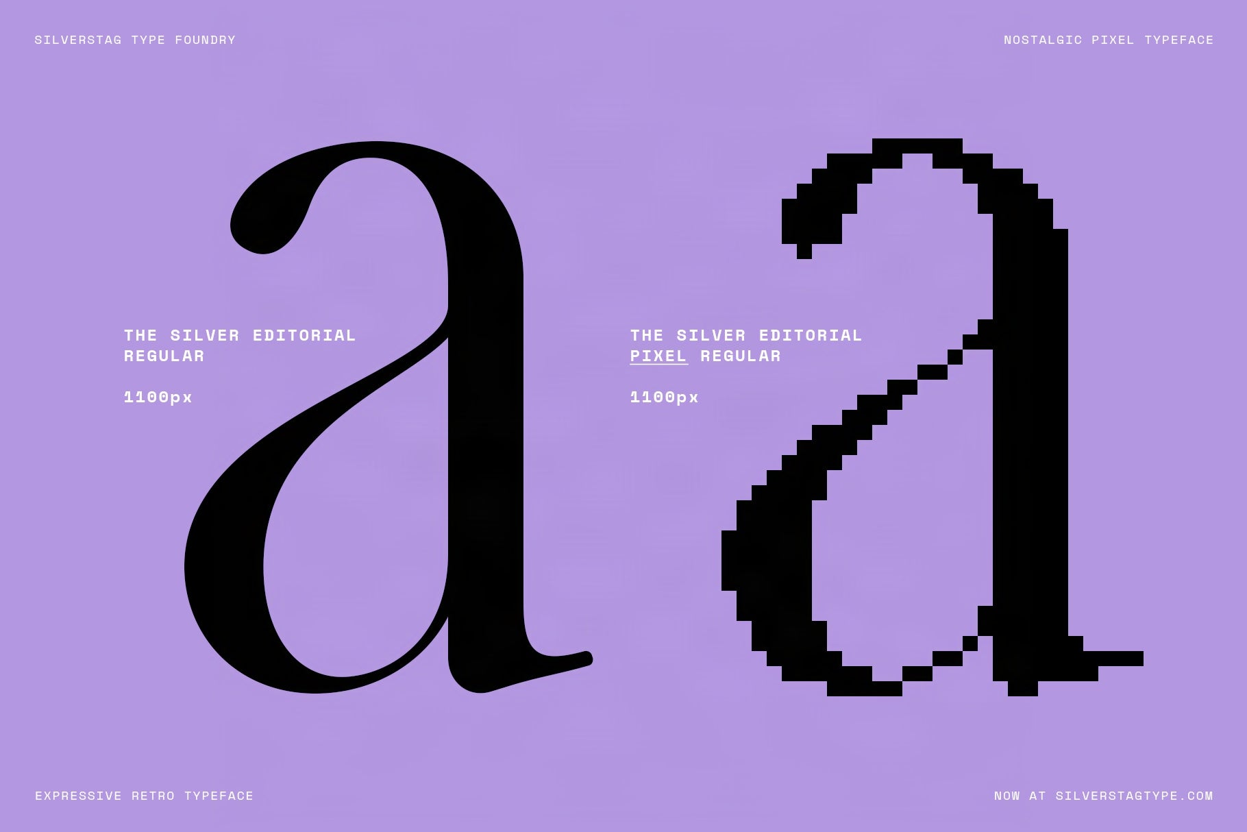 sltf-the-silver-editorial-pixel-version-silverstag-type-foundry-19.jpg