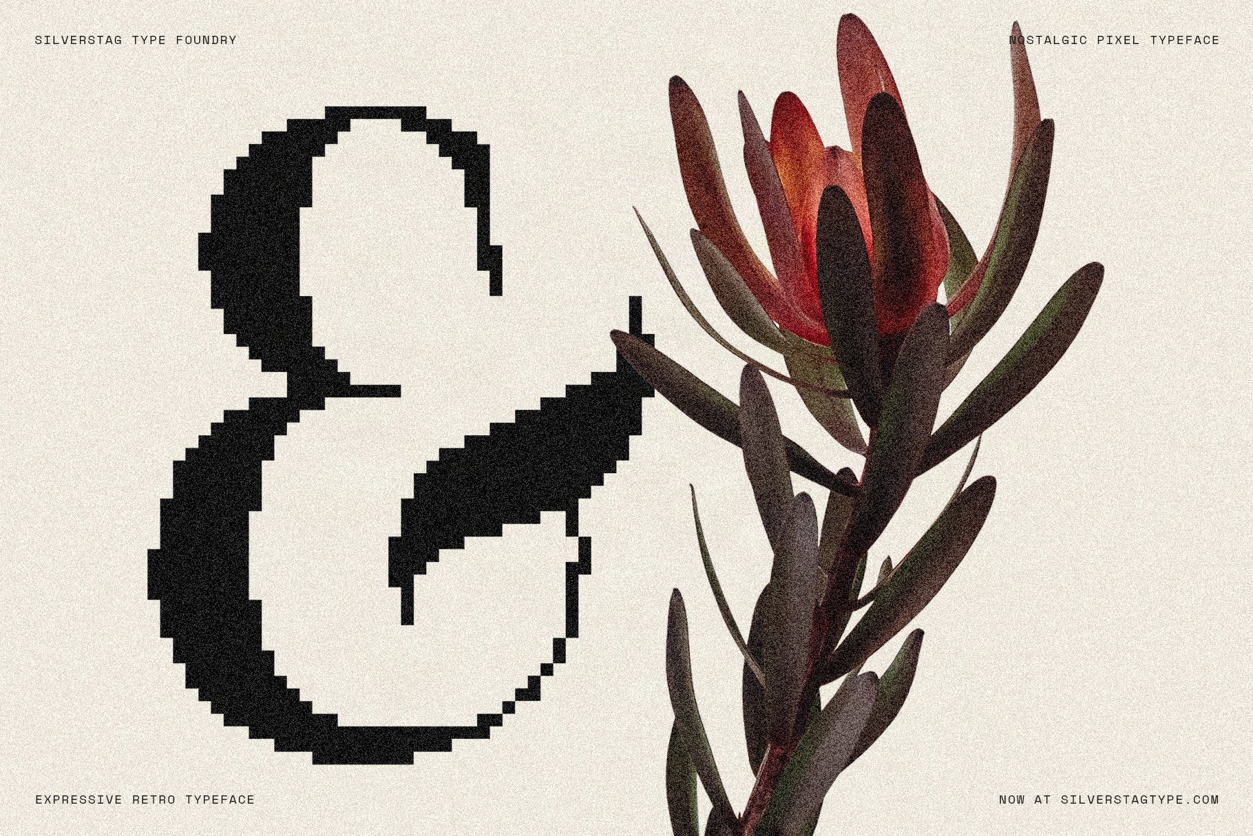 sltf-the-silver-editorial-pixel-version-silverstag-type-foundry-2.jpg