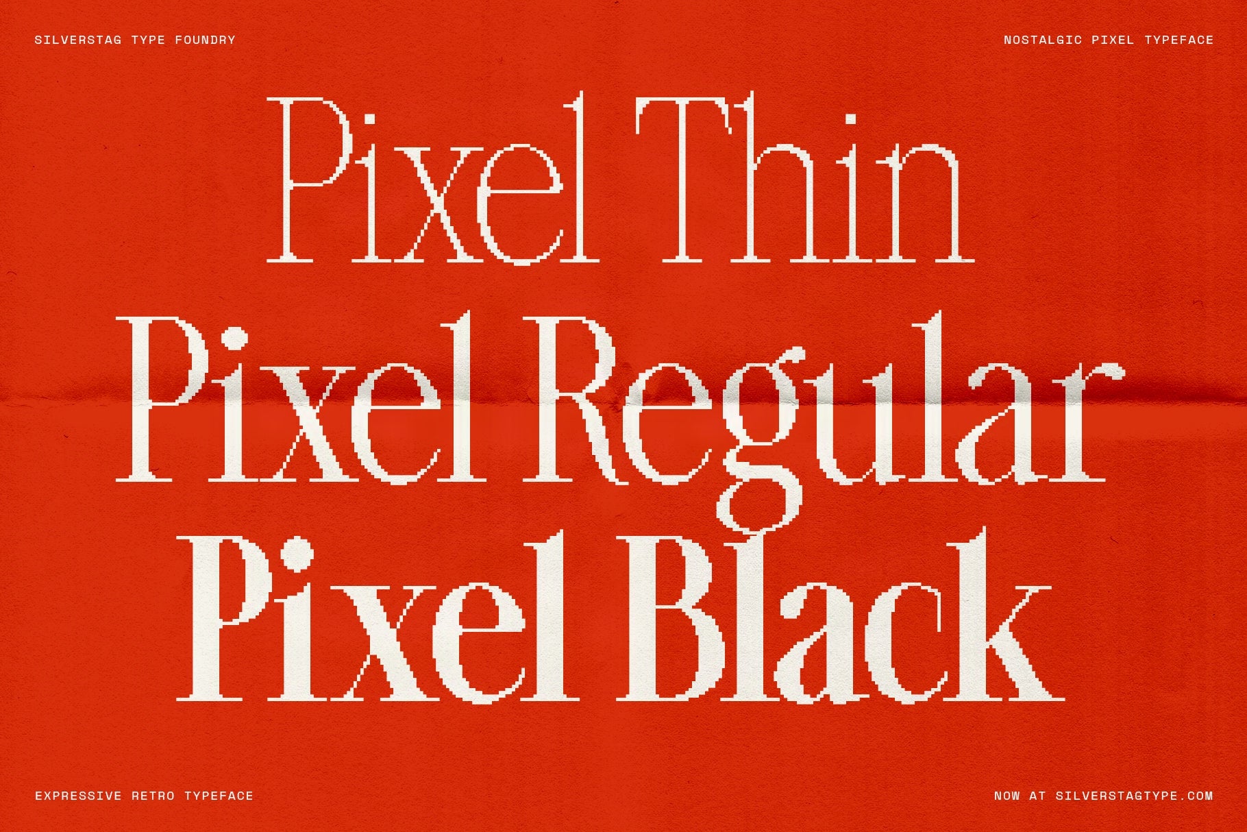 sltf-the-silver-editorial-pixel-version-silverstag-type-foundry-3.jpg