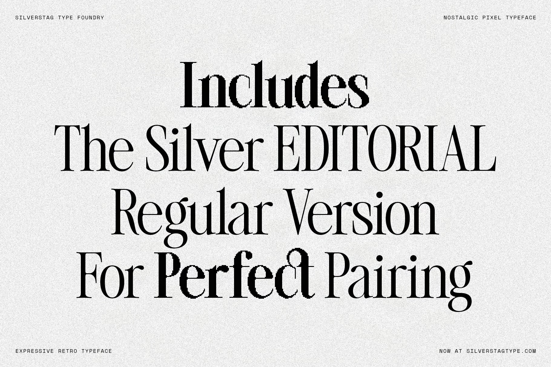 sltf-the-silver-editorial-pixel-version-silverstag-type-foundry-8.jpg